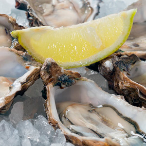 Oysters